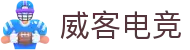 威客电竞(vkgame)-为竞技而生